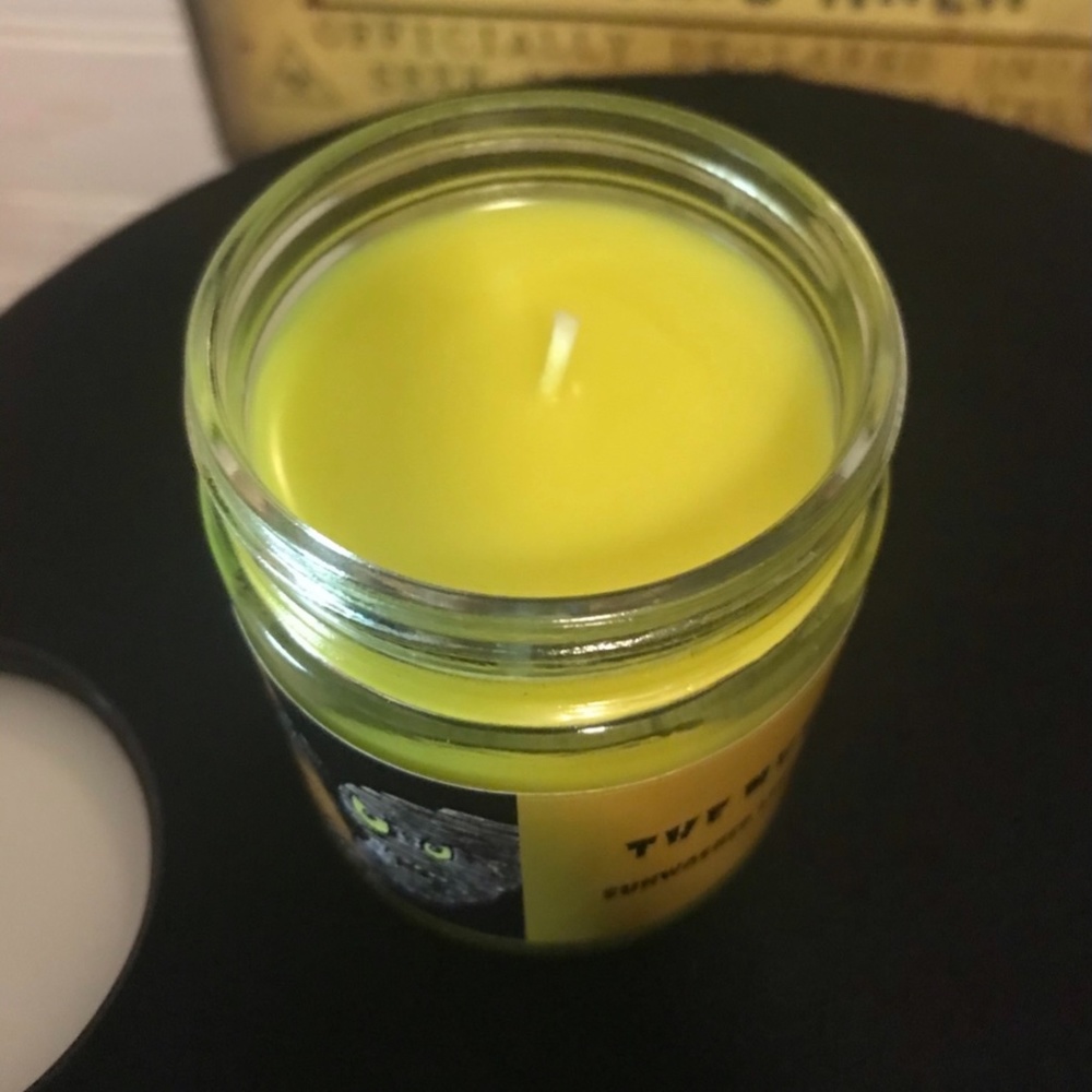 9 Ounce Halloween Candles Of Dracula, The Mummy, And Frankenstein’s. Horror. - Picture 8 of 12